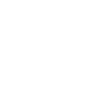 Logo_Apex_Partner