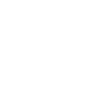 Logo_Lazer_Partner