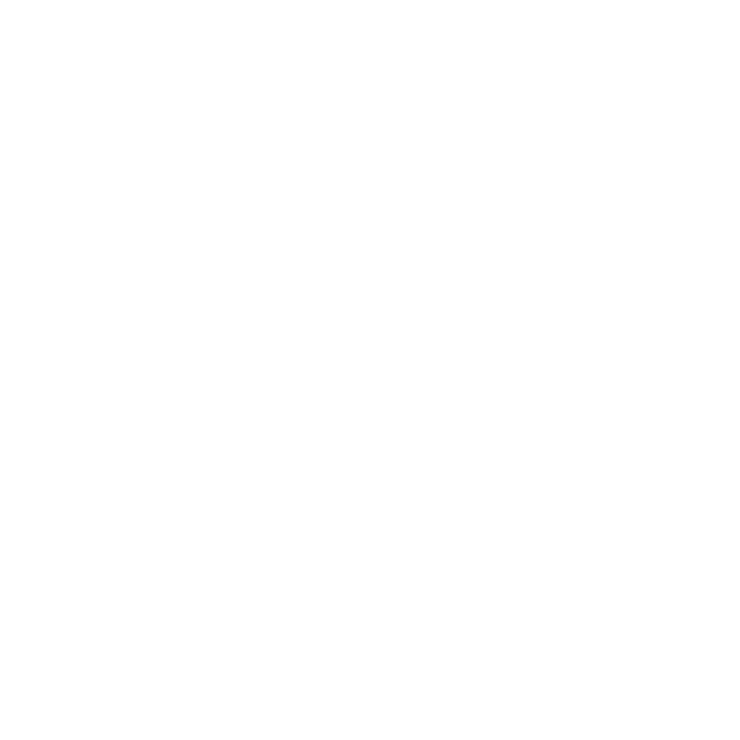 Logo_Lazer_Partner
