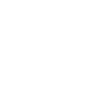 Logo_Milremo_Partner