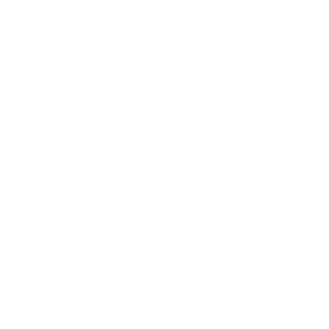 Logo_SIS_Partner