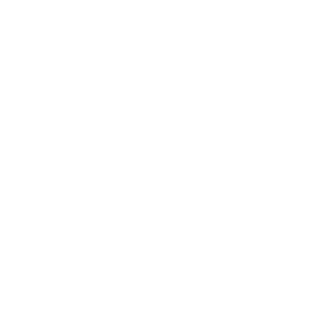 Logo_SIS_Partner